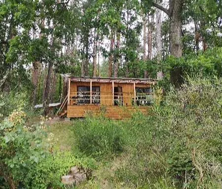 Eko Forest *